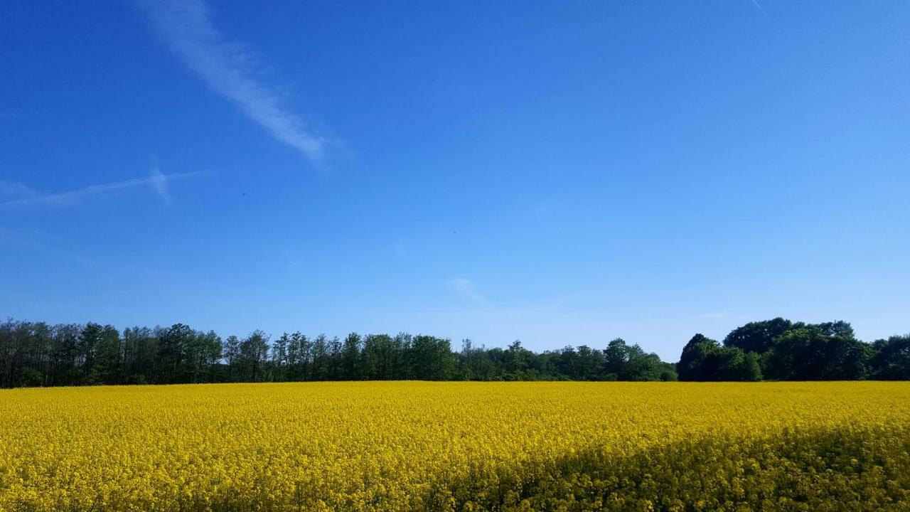 Ferienwohnung Urte In Putgarten , Kap Arkona Ruegen 외부 사진